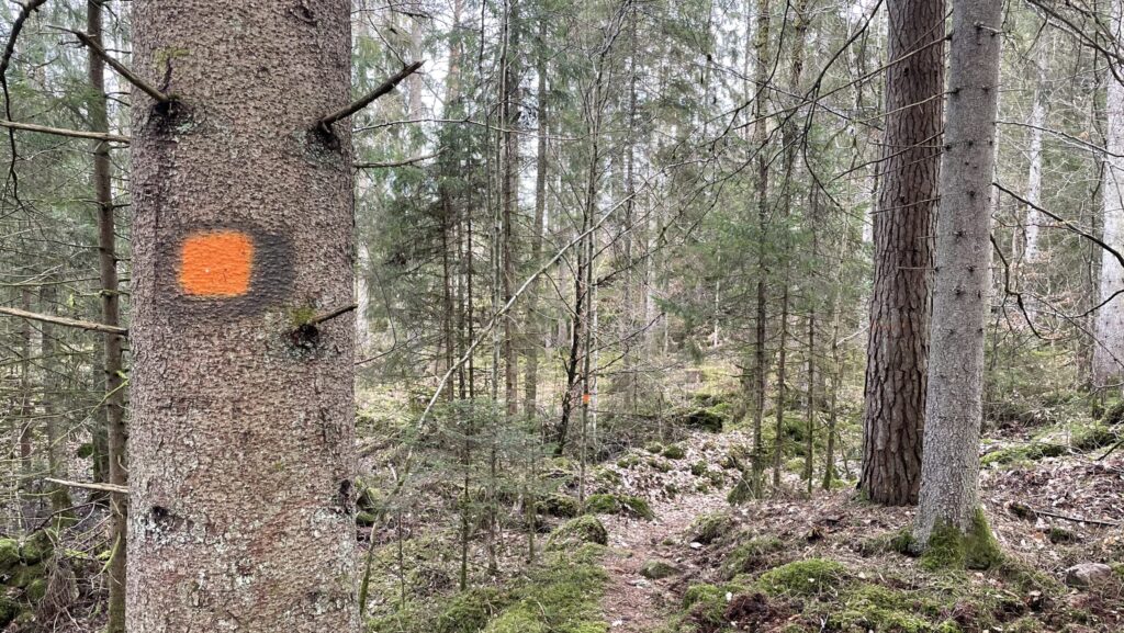 Orange dots marking the way on Skåneleden 1