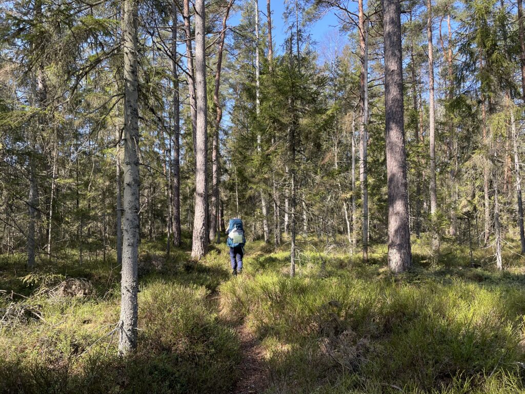 Skåneleden 1: Olofström to Osby