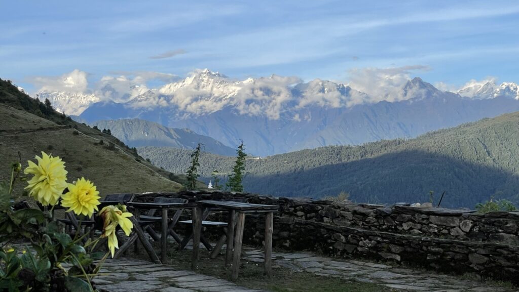 View of Mount Everest range with flowers in front.